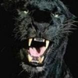 Beowulf