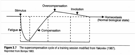 La periodizzazione per combattenti
