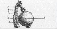 Kettlebell e le MMA