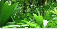 Respirare efficacemente durante i RawTraining