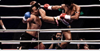 Strength & conditioning per MMA e SDC, parte 2